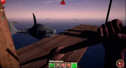 Survive on Raft